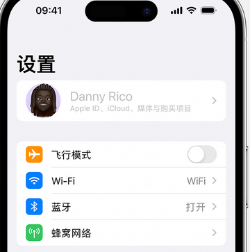 北屯appleID维修服务iPhone设置中Apple ID显示为灰色无法使用 