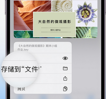 北屯apple维修中心分享iPhone文件应用中存储和找到下载文件