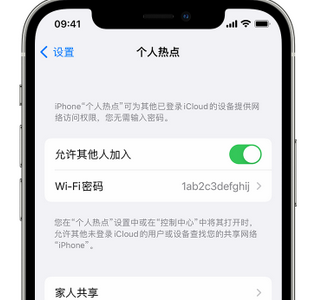 北屯apple服务站点分享iPhone上个人热点丢失了怎么办 