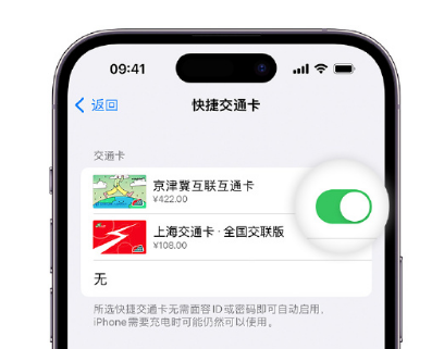 北屯apple维修点分享iPhone上更换Apple Pay快捷交通卡手绘卡面 