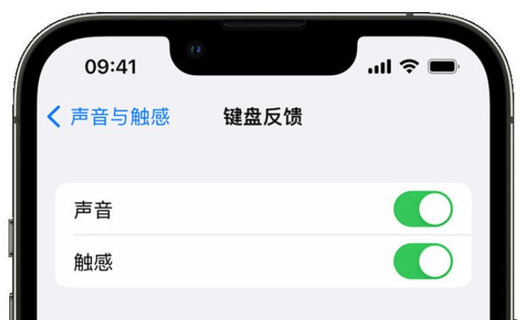 北屯苹果手机维修分享iPhone 14触感键盘使用方法 