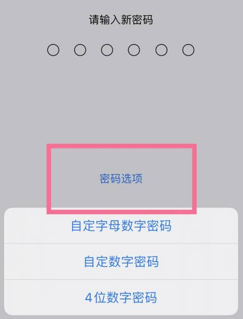 北屯苹果14维修分享iPhone 14plus设置密码的方法 