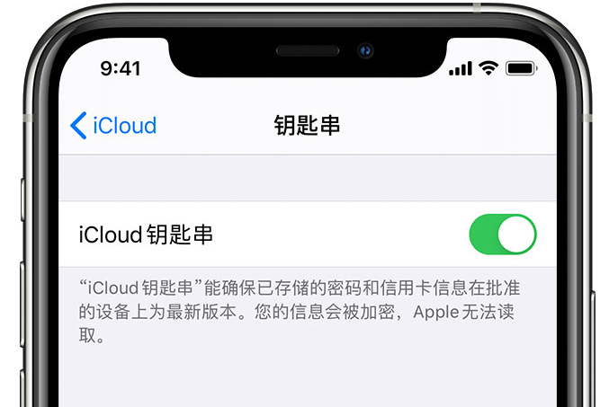 北屯苹果手机维修分享在 iPhone 上开启 iCloud 钥匙串之后会储存哪些信息 