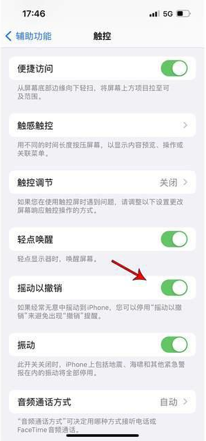 北屯苹果手机维修分享iPhone手机如何设置摇一摇删除文字 